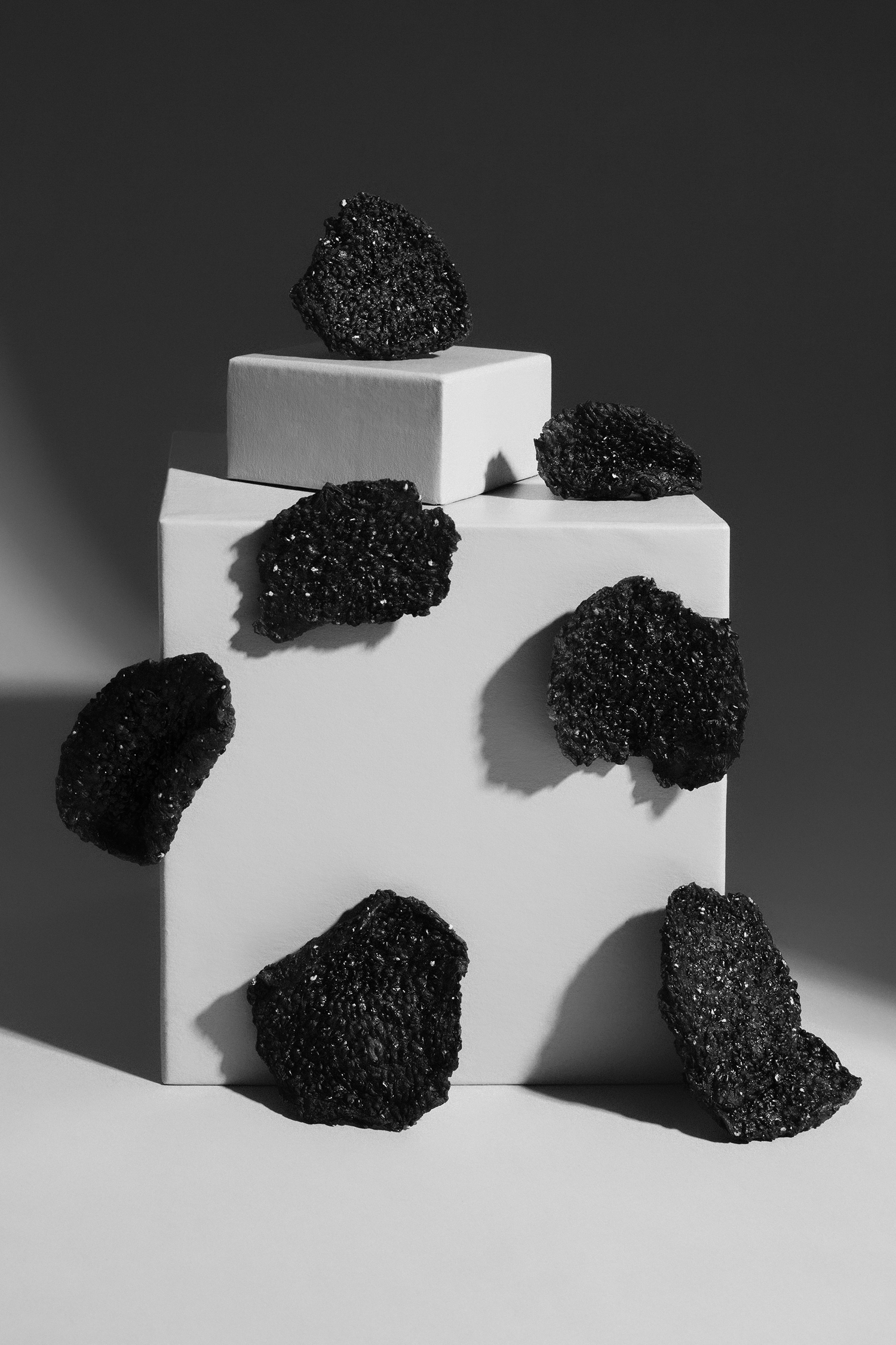 Dragon Fruits & 
Moringa Powder