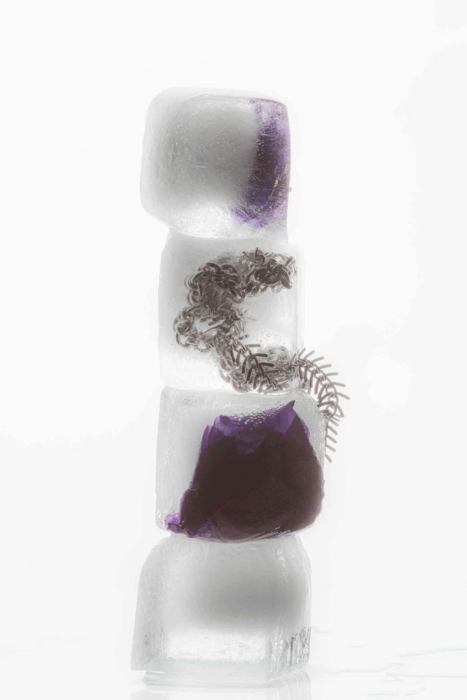 Organism 
Set Styling: 
Greta Billstein